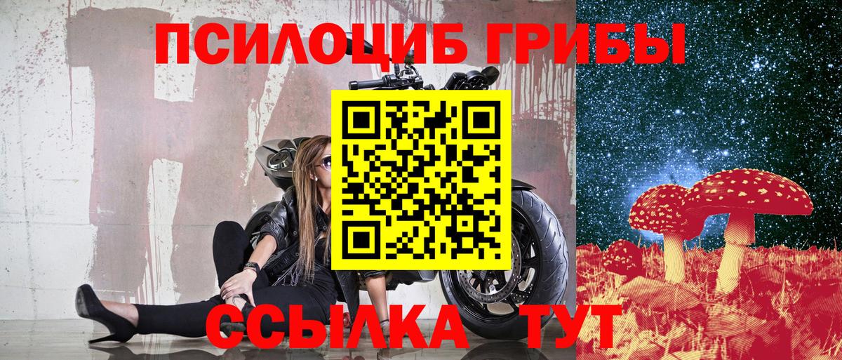Усть-Илимск  Галлюциногенные грибы Magic Shrooms  Вход с VPN 